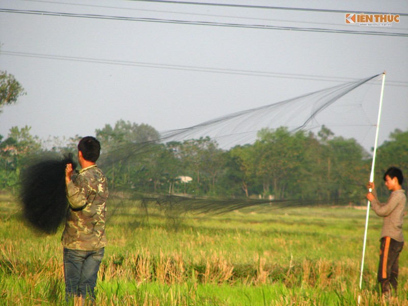 Theo chan tho, di san chim se dong o Ha noi-Hinh-2